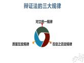 10.1不作简单肯定或否定 课件+视频--2024-2025学年高中政治统编版选择性必修三逻辑与思维