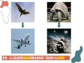 11.2 联想思维的含义与方法课件-2024-2025学年高中政治统编版选择性必修三逻辑与思维