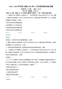 四川省成都市第七中学2024-2025学年高二上学期10月月考政治试题（Word版附解析）