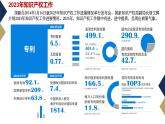 2.2 尊重知识产权（同步课件） 2024-2025学年高中政治统编版选择性必修二法律与生活