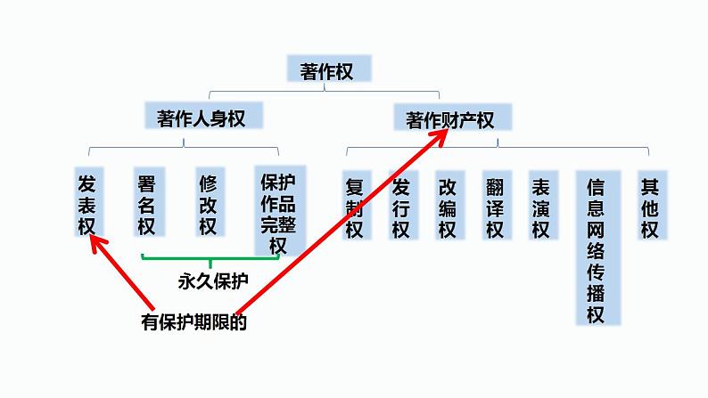 2.2 尊重知识产权 课件-2024-2025学年高中政治统编版选择性必 修二法律与生活第7页