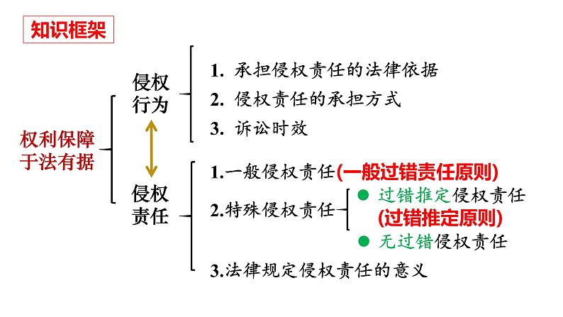 4.1权利保障 于法有据 课件-2023-2024学年高中政治统编版选择性必修二法律与生活03