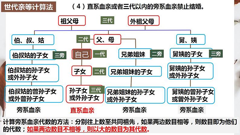 6.1 法律保护下的婚姻 课件-2023-2024学年高中政治统编版选择性必修二法律与生活第8页