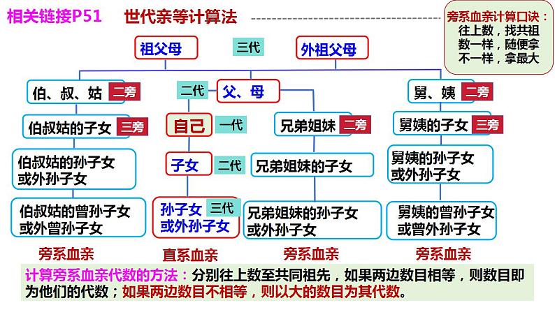 6.1法律保护下的婚姻 课件-2024-2025学年高中政治统编版选择性必修二 法律与生活第8页