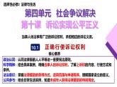 10.1 正确行使诉讼权利 课件-2024-2025学年高中政治统编版选择性必修二法律与生活