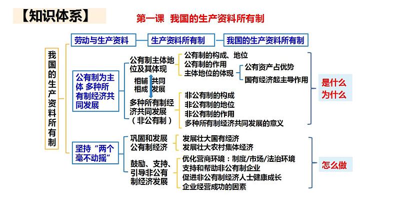 五 我国的生产资料所有制（课件）2025年高考政治一轮复习 统编版第5页