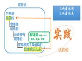 4.1人的认识从何而来（课件） 2024-2025学年高中政治统编版必修四《哲学与文化》
