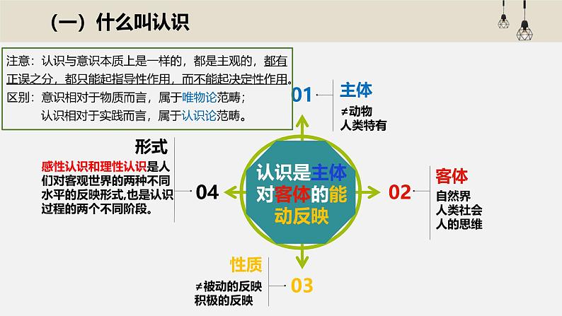 4.1人的认识从何而来（课件） 2024-2025学年高中政治统编版必修四《哲学与文化》第4页