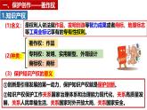 2.2尊重知识产权（课件 ）-2024-2025学年高二政治选择性必修二《法律与生活》