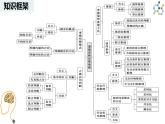 综合探究 把握逻辑规则 纠正逻辑错误 课件 -2024-2025学年高中政治 选择性必修三  逻辑与思维