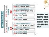 综合探究 把握逻辑规则 纠正逻辑错误 课件 -2024-2025学年高中政治 选择性必修三  逻辑与思维