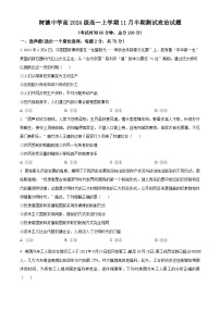 四川省成都市树德中学2024-2025学年高一上学期期中考试政治试卷（Word版附解析）