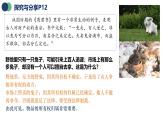 统编版高中政治选必二 2.1 保障各类物权 课件