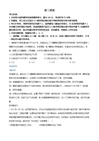 河南省部分学校2024-2025学年高三上学期11月联考政治试卷（Word版附解析）