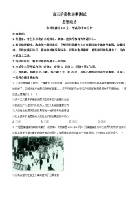 精品解析：河南省新乡市部分学校2024-2025学年高三上学期期中联考政治试题