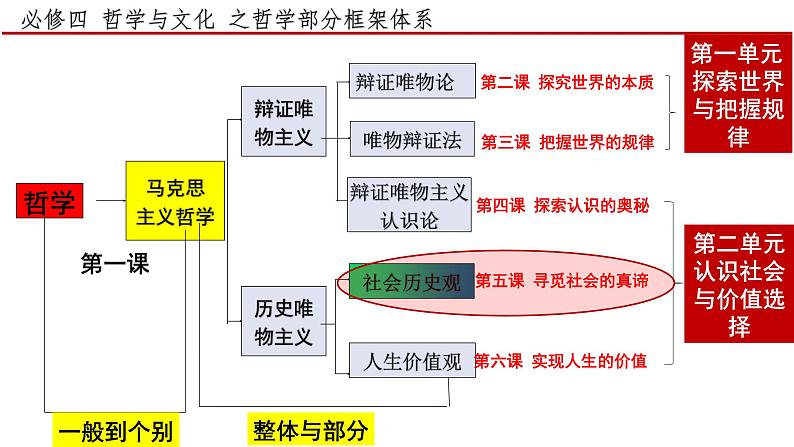 5.1社会历史的本质课件2024-2025高中政治一轮复习必修四 哲学与文化（统编版）01