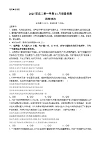 河南省华师联盟2024-2025学年高三上学期11月质量检测政治试卷