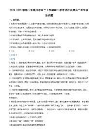山东省德州市2024-2025学年高二上学期11月期中考试政治试卷（Word版附解析）