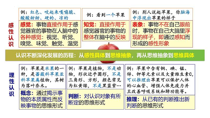 第四课 探索认识的奥秘-备战2025年高考政治一轮复习课件（新高考通用）第7页