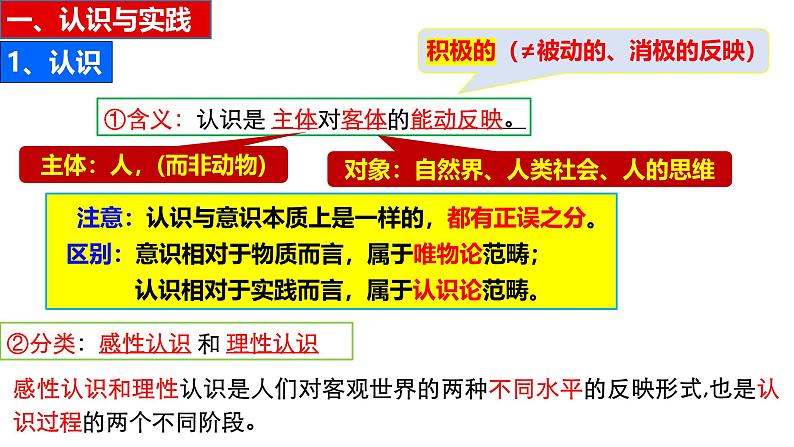 4.1人的认识从何而来课件-2024-2025学年高二政治统编版必修四哲学与文化第5页