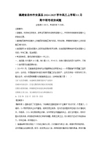 福建省泉州市安溪县2024-2025学年高三(上)11月期中联考政治试卷(解析版)