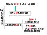 4.1 人的认识从何而来-统编版必修4高二政治课件统编版（2019）
