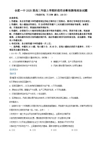 安徽省十联考合肥市第一中学等校2025届高三上学期阶段性（12月）诊断检测政治试题