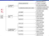 必修3《政治与法治》第3单元【高考政治】二轮复习：知识体系精编PPT课件（统编版）