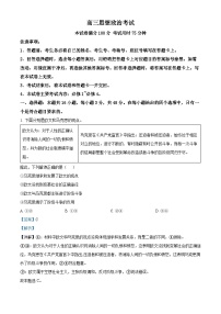 河南省驻马店市2024-2025学年高三上学期11月期中联考政治试题（Word版附解析）