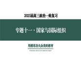 专题十一 国家与国际组织2（示范课课件） -2025年高考政治一轮复习专题示范课课件（新高考通用）