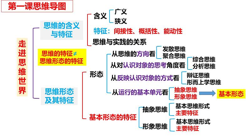 选必3第1课 走进思维的世界-备战2025年高考政治一轮复习考点精讲课件（新高考通用）第5页