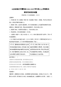 2024-2025学年山东省临沂市蒙阴县高二上学期期末模拟考试政治试题（解析版）