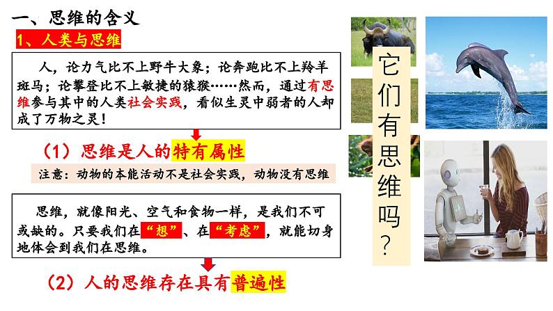 人教版选择性必修3高中思想政治 1.1《思维的含义与特征》课件PPT第6页