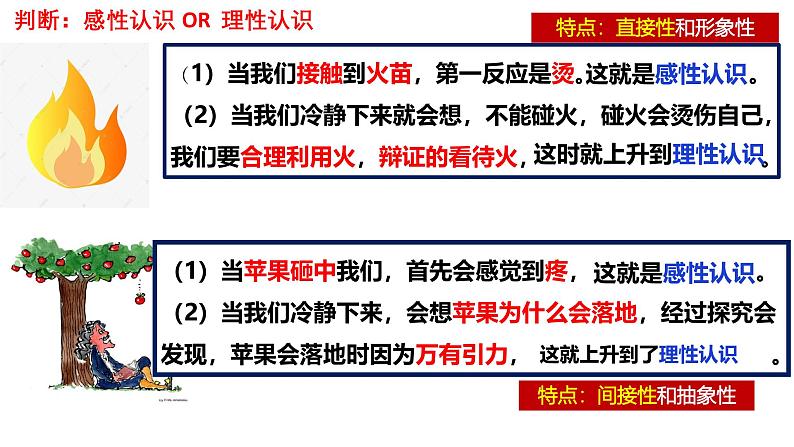 人教版选择性必修3高中思想政治 1.1《思维的含义与特征》课件PPT第8页