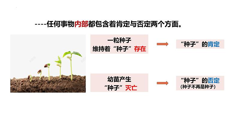 人教版选择性必修3高中思想政治 10.1《不作简单肯定或否定》课件PPT第8页