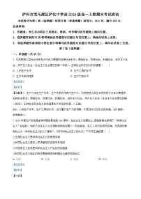 四川省泸州市泸化中学2024-2025学年高一上学期1月期末考试政治试卷（Word版附解析）