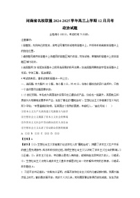 2024-2025学年河南省名校联盟高三上学期12月月考政治试卷（解析版）