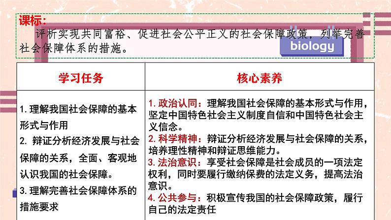 4.2我国的社会保障制度课件高中政治统编版必修二经济与社会第2页