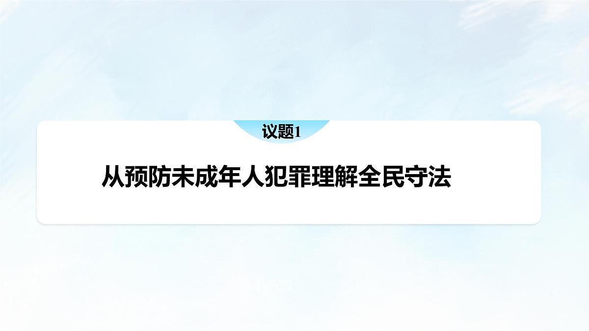 9.4 全民守法 课件-2024-2025学年统编版高中政治必修三政治与法治第6页
