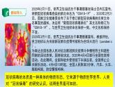 人教统编版高中政治必修4 1-2《世界的物质性》课件