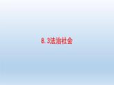 人教統(tǒng)編版高中政治必修3 3-8《法治社會(huì)》課件