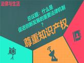 2024-2025学年高中政治（统编版选择性必修2）同步课件2-2尊重知识产权