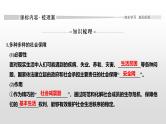 人教统编版高中政治必修2 2-4《我国的社会保障》课件