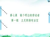 人教统编版高中政治选择性必修2 3-7《立足职场有法宝》复习课件
