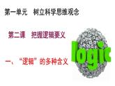 人教统编版高中政治选择性必修3 1-2《“逻辑”的多种含义》教学课件
