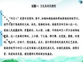 人教统编版高中政治必修4 3-8《文化的民族性与多样性》课件