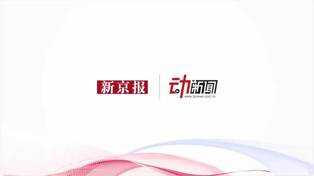 人教版 (新课标)高中政治 必修2 2-3-2课件-《政府的责任：对人民负责》第2页