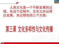 人教版 (新课标)必修3 文化生活世界文化的多样性教课内容ppt课件