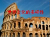 人教版 (新课标)高中政治必修3 2-3-1《世界文化的多样性》新课讲知课件