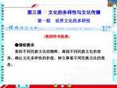 人教版 (新课标)高中政治必修3 2-3-1《世界文化的多样性》探究型课件